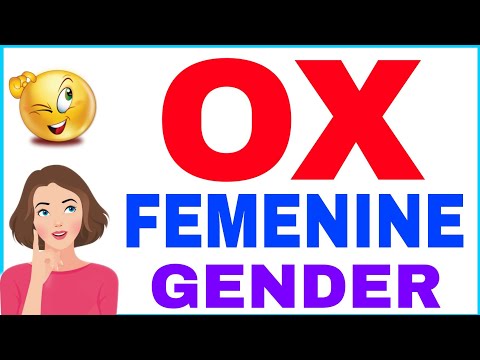 What is the gender of ox?