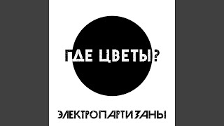 Video thumbnail of "Электропартизаны - Где цветы?"