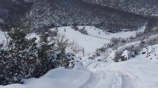 Kara Saplanan Tir Ve Çikarma Çabamiz Almanya