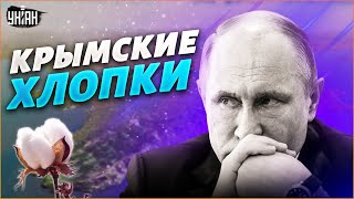 Потери РФ в Крыму в результате "хлопков" колоссальные