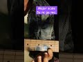 #shorts #viral #trending #trendingshorts #viralvideo #reels #guitar