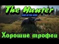 The Hunter Call of the Wild - Сезон охоты и Трофеи