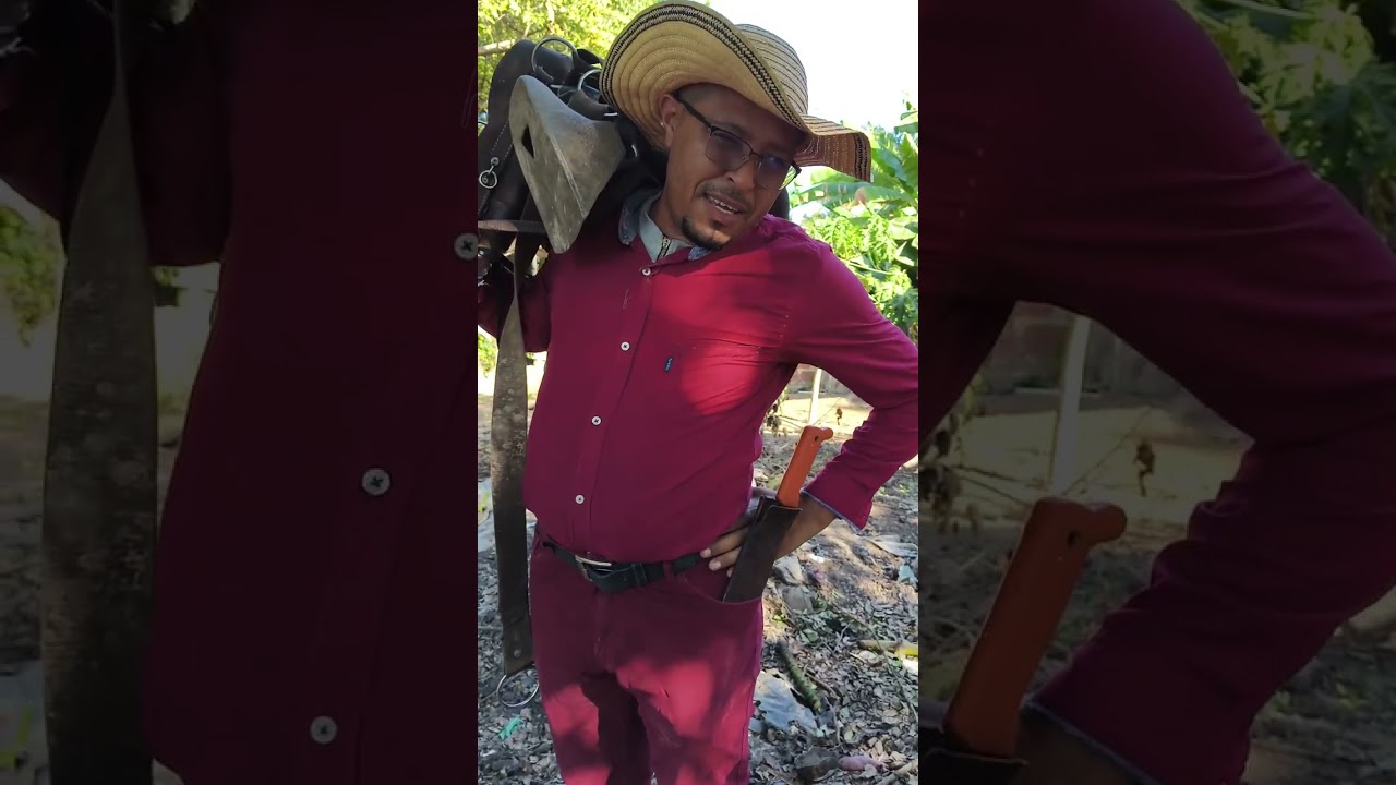 Jucga ec burro pello jajaja #humor #comedia #paratiiiiiiiiiiiiiiiiiiiiiiiiiiiii 