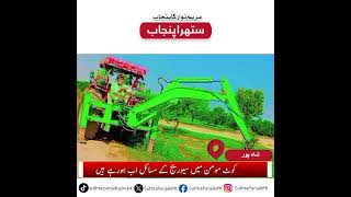 Suthra Punjab Workers in Full Action | Waste Disposal and Road Cleaning Ongoing