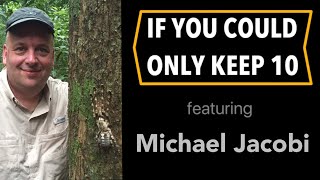 IF YOU COULD ONLY KEEP 10 TARANTULAS | Episode 7 - Michael Jacobi Episode 7 How Do Tarantulas Hunt