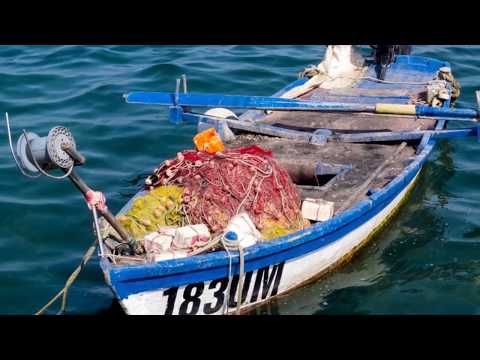 L'acqua della Muiella