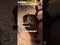 ranking cats talking funny moments 😄