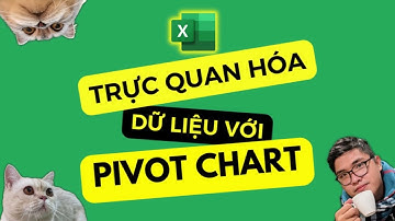 Excel | Cách sử dụng PIVOT CHART #pivotchart #excel