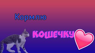 Кормлю БЕЗДОМНУЮ КОШКУ пишите имя КОШЕЧКИ Кормлю БЕЗДОМНУЮ КОШКУ пишите имя КОШЕЧКИ