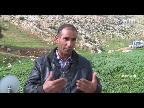 مراسلون 7 صناعة الجبنة البيضاء في بلدة عقربا في فلسطين