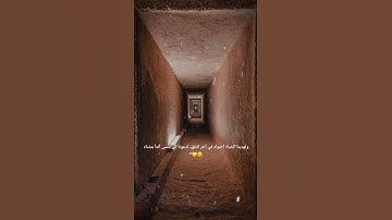 {أَلَمْ يَجِدْكَ يَتِيمًا فَآوَىٰ (6) وَوَجَدَكَ ضَالًّا فَهَدَىٰ (7)} #المنشاوي #تلاوات #اكسبلور