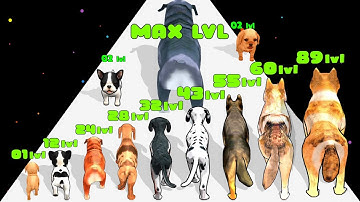 Dog Evolution Run 3D - Level up Insect Evolution, Max Level ASMR Gameplay