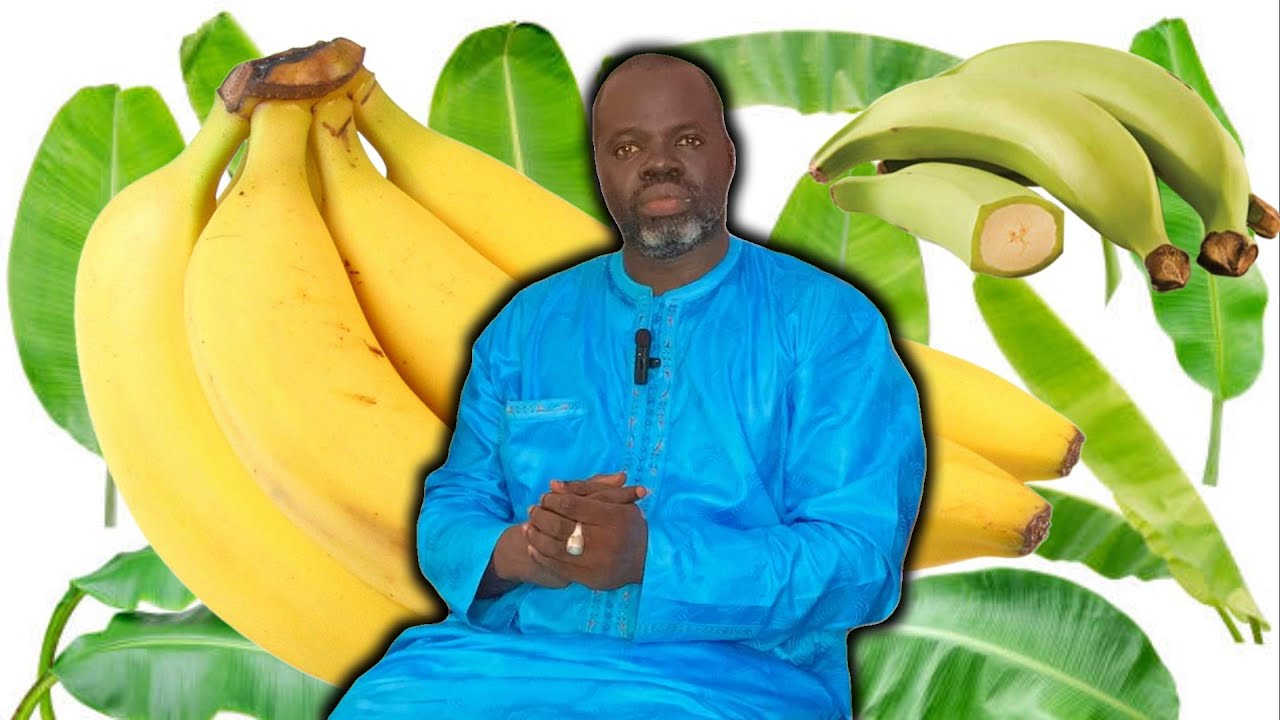 Les vertus de La banane - Pr Ousmane Ndiaye - SAMA XALAAT TV