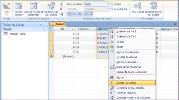 Access - Creación y edición de tablas en hoja de datos, vídeo 1/2