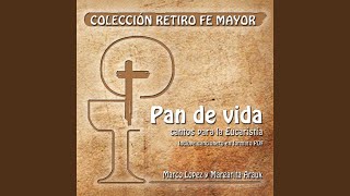 Video thumbnail of "Marco Lopez - Señor ten piedad 3"