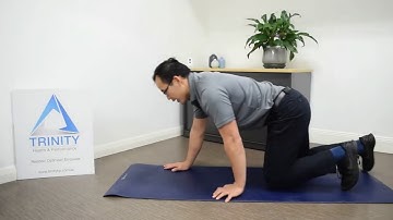 Bear Crawl Forward and Backward