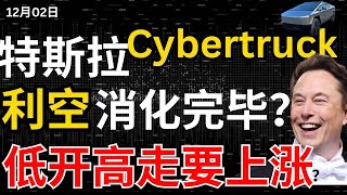 【特斯拉Cybertruck】利空砸盘结束？股价低开高走蓄势大涨？英伟达再放大招儿，可以抄底了吗？美股12月开门红却暗藏多数人忽视的风险特斯拉股票美股分析股哥说美股 马斯克 美股复盘