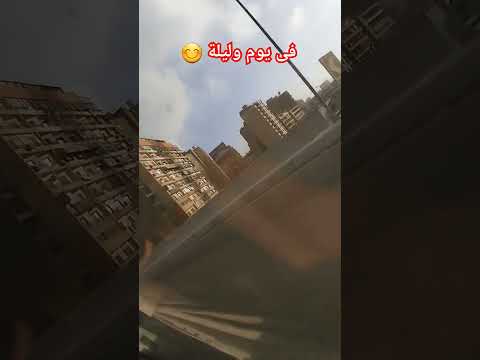 فى يوم وليلة وردة الجزائرية