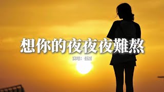 任夏 - 想你的夜夜夜難熬『想你的夜夜夜難熬 卻不敢打擾，說要愛愛愛到老 不過是玩笑，你對我多重要 只有我自己知道，除了你我誰都不想要。』【動態歌詞MV】
