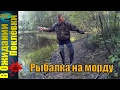 Рыбалка на морду.Ловим карасей.Спасаем пруд.