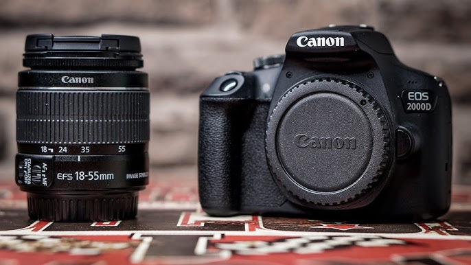 Should You Buy the Canon 2000D in 2023? 