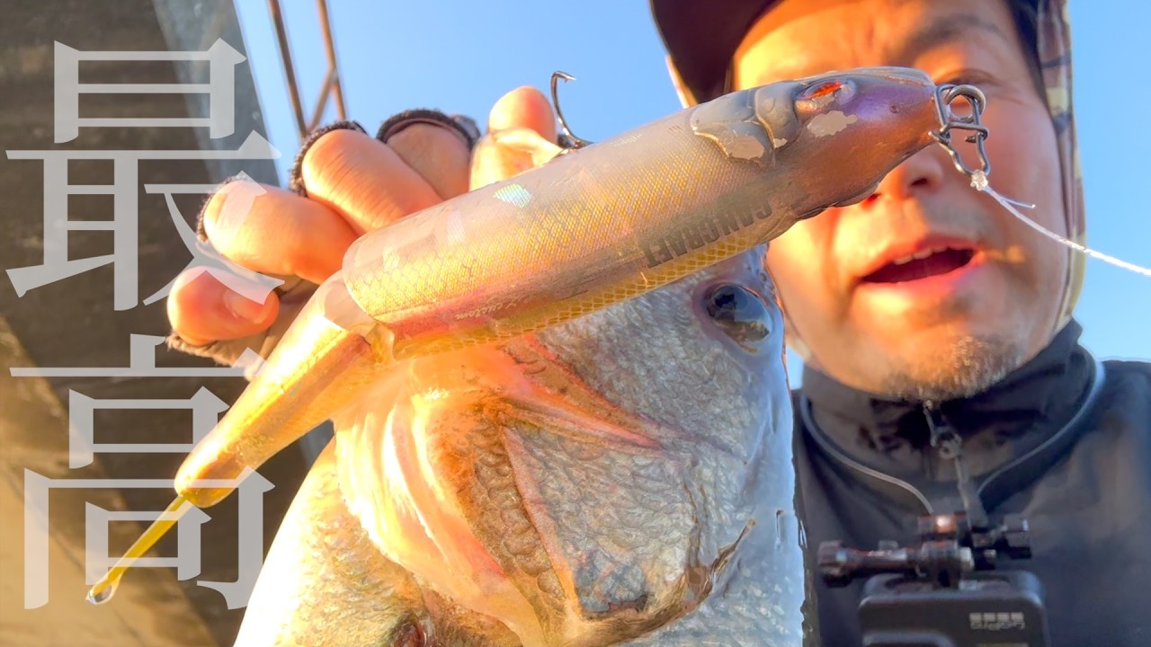The Joycro 178 was absolutely amazing! Springtime big bait game at