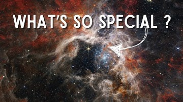 Introducing The Tarantula Nebula  #nebula #space #astronomy #universe