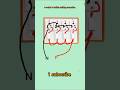 4 switch 4 socket canaction daigram  #ELECTRONIC WORK #YOGESH electrician