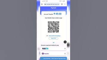 Chinese Upi Payment Gateway Fast | Upi payment gateway integration | UPI payment gateway for website