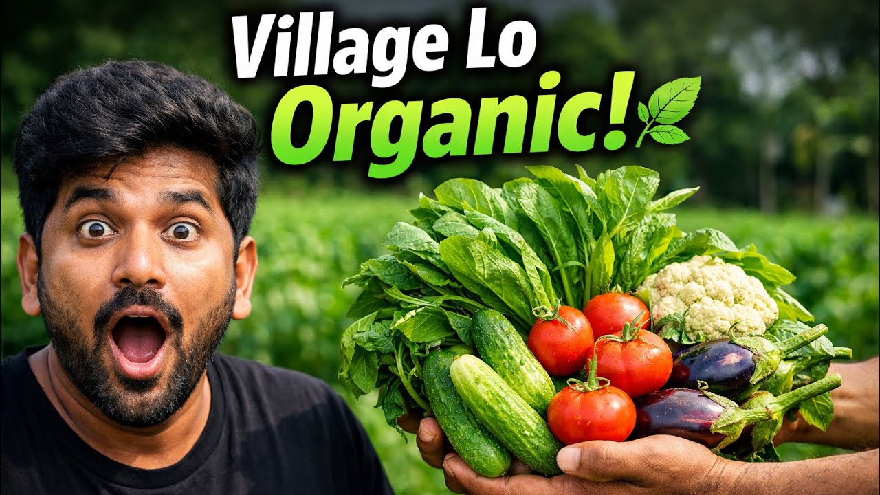 గ్రామంలో Organic Farming 🌿 Direct Ga Konnaam! 😳