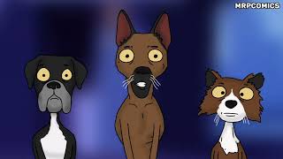 The Truth About Dogs In The Hood