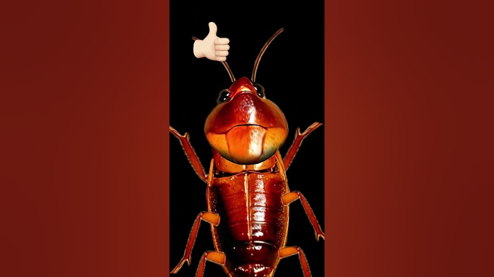 HA NEM NYOMSZ EGY LIKEOT
