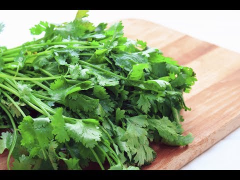 Video: Cilantro - ¿Qué es y con qué se come?