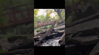 🌿 Arkansas Creek ASMR | Relaxing Water Sounds for Deep Sleep