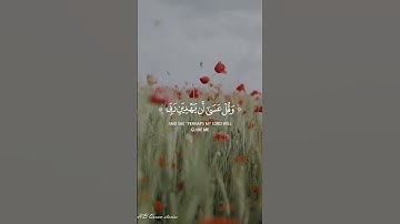 القرآن الكريم - سورة الكهف- الآية 24 - بصوت الشيخ محمد صديق المنشاوي