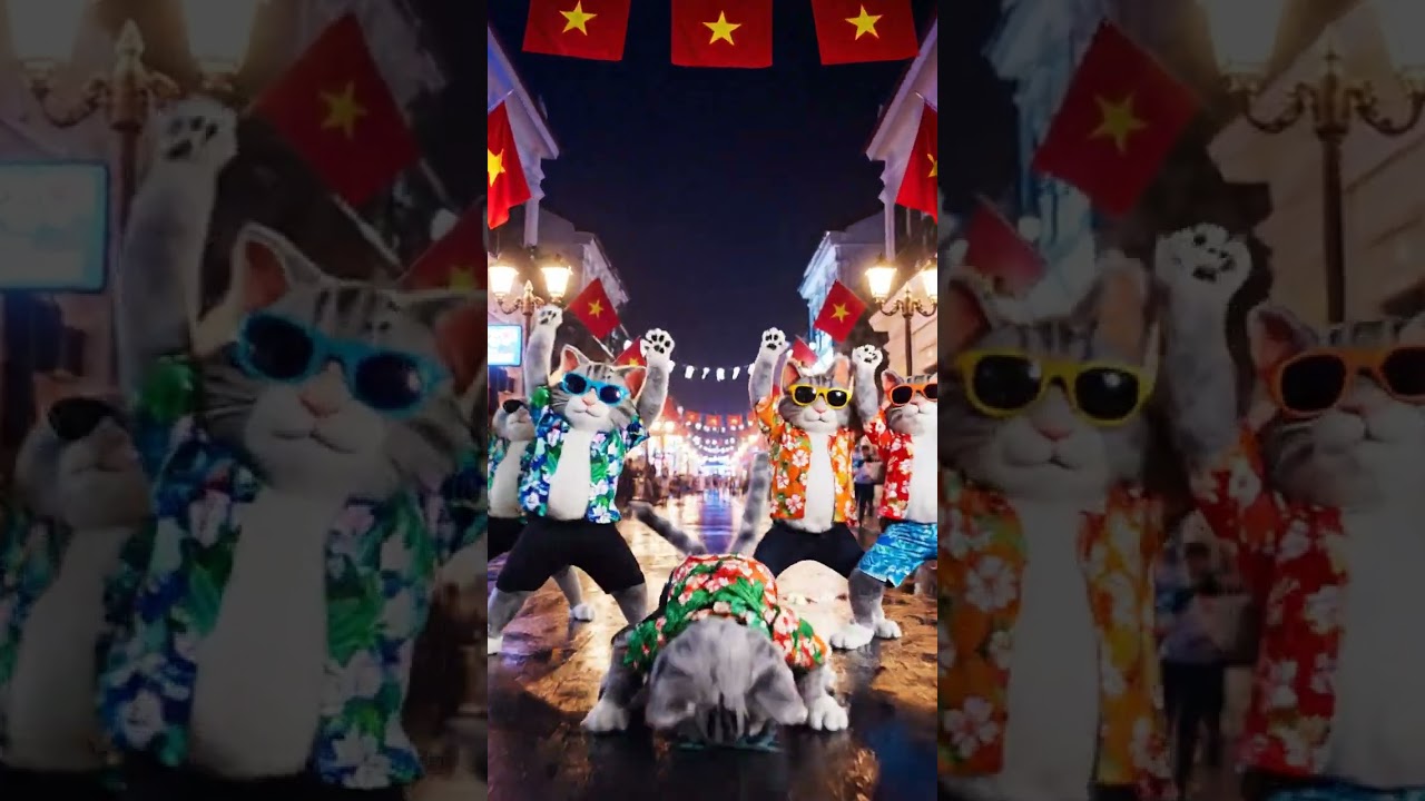 . Groovy Cat Queens of the Night 