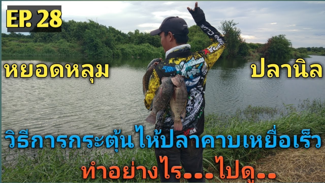 EP. 28 ทริปหยอดหลุมปลานิลหมายกึ่งธรรมชาติ(ทริปนี้มีคำตอบ)