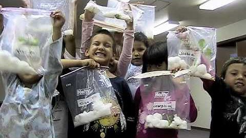 Dakota Language Immersion Program 2009