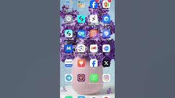 How to submit your wallet address 4 #momoai airdrop. #learning #music #crypto #vlog #tech #bitcoin