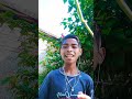 new #funny short video SK ROBIN HEMBROM🥰🥰🥰