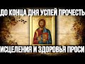 ИСЦЕЛИТ ПРЯМО СЕЙЧАС! МОЛИТВА ТРИФОНУ ОТ НЕДУГОВ ДУШЕВНЫХ И ТЕЛЕСНЫХ