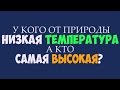 ОТ РОЖДЕННОГО ПОЧТИ БЕЗ ТЕМПЕРАТУРЫ ДО САМОГО ГОРЯЧЕГО