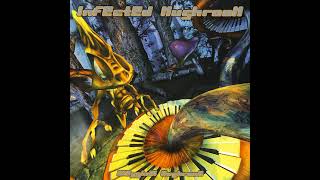 Infected Mushroom - Dracul