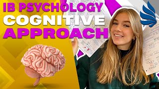 IB Psychology Revision Cognitive Approach Schema