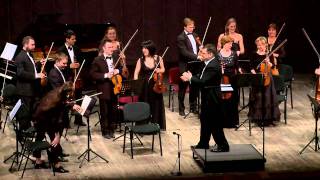 Video voorbeeld van "Leroy Anderson - Fiddle-Faddle"