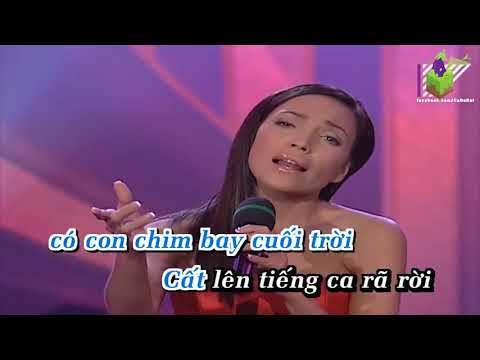 Mot Coi Tinh Phai Karaoke   Thanh Ha