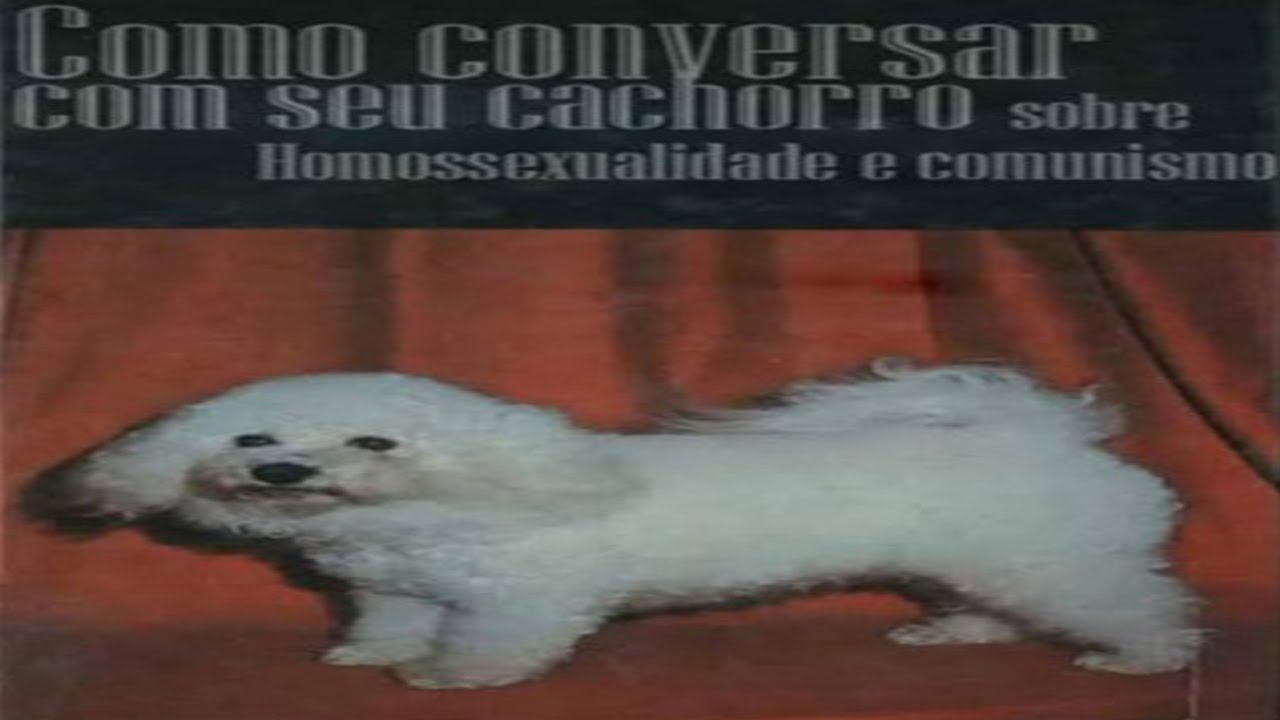 como conversar com seu cachorro sobre homossexualidade e comun1smo ...