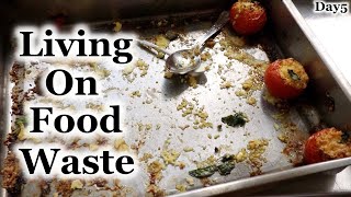 Living on Food Waste  Day5