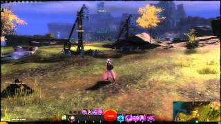 GW2 Trebuchet and Cannon