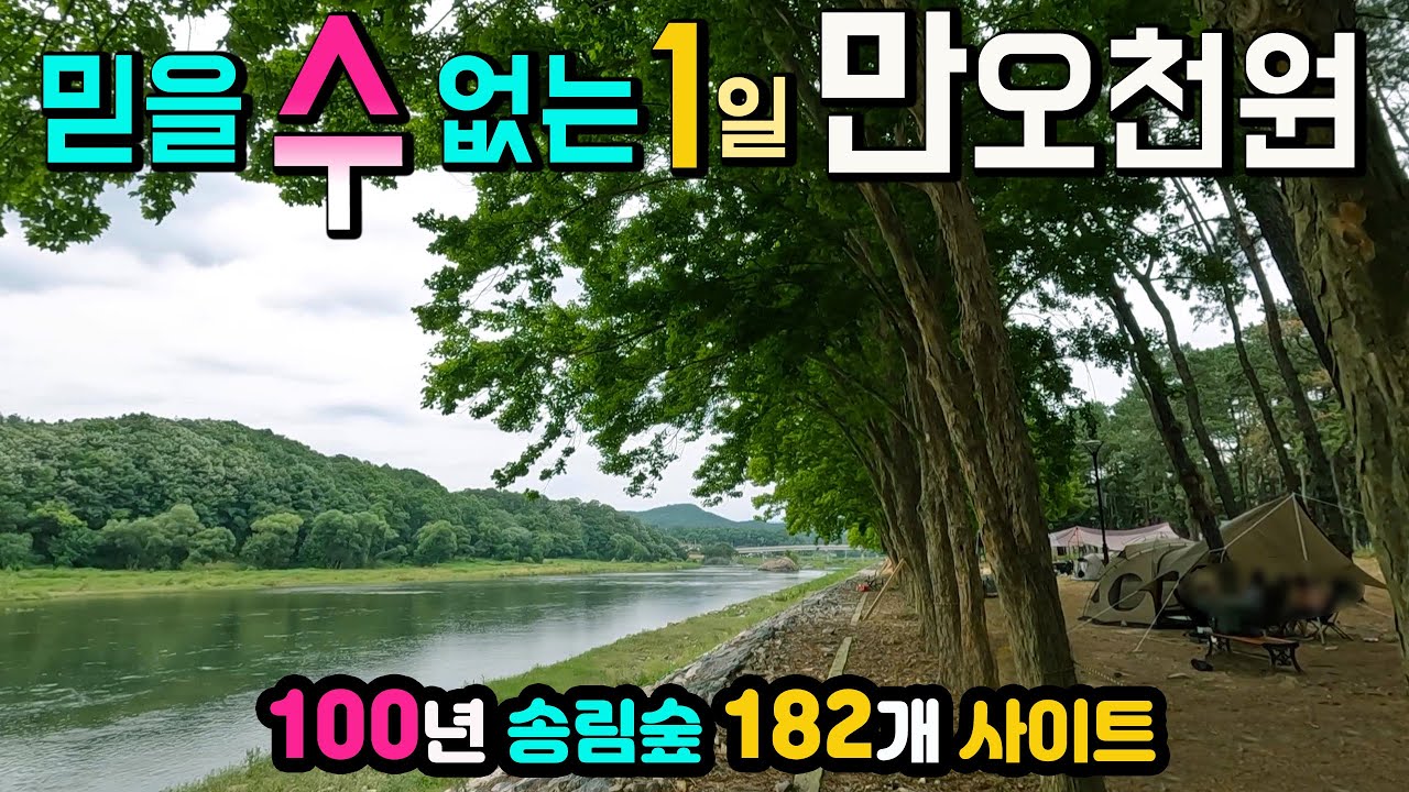 영동 송호국민관광지 캠핑장 울창한 100년 소나무 숲, 만오천원, 182개 사이트 문화체육관광부 공공 우수캠핑장, 잔디 운동장 샤워장 음수대 개수대 화장실, 와이파이, 흡연실